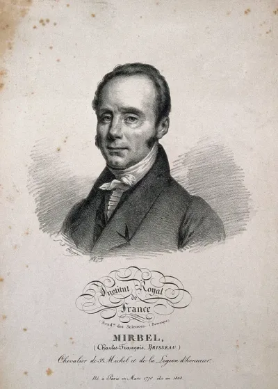 Charles-François Brisseau Mirbel