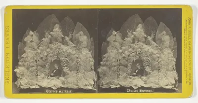 Charles Sumner, from the series "Skeleton Leaves"