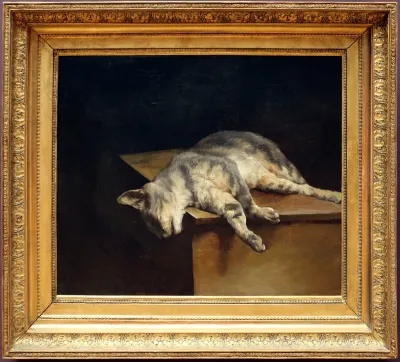 Chat mort
