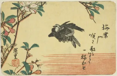 Cherry and sparrow