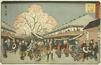 Cherry Blossom Day on the Nakanocho of the Yoshiwara (Yoshiwara Nakanocho Sakura no monbi), from the series "Famous Places in Edo (Edo meisho)"