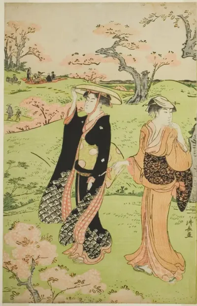 Cherry Blossom Viewing at Asuka Hill