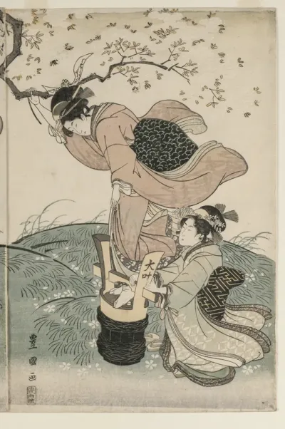 Cherry Blossoms in the Wind