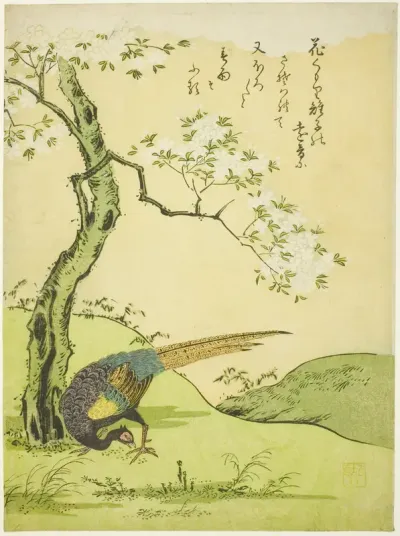 Cherry Tree and Pheasant