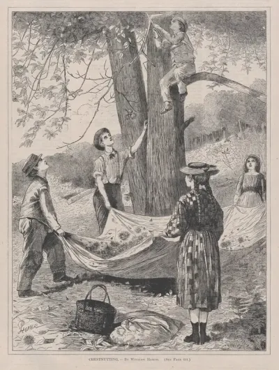 Chestnutting (from "Every Saturday," Vol. I, New Series)