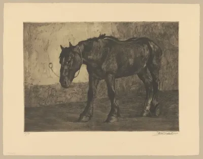 Cheval à  l'équarrissage
