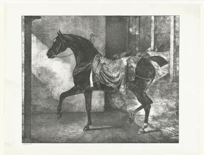 Cheval noir attaché dans une écurie