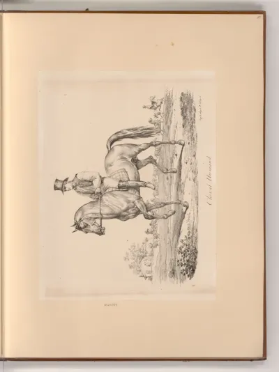 Cheval Normand