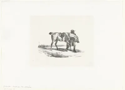 Cheval que l'on promène avant la course