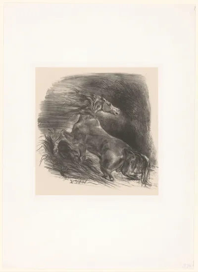 Cheval sauvage