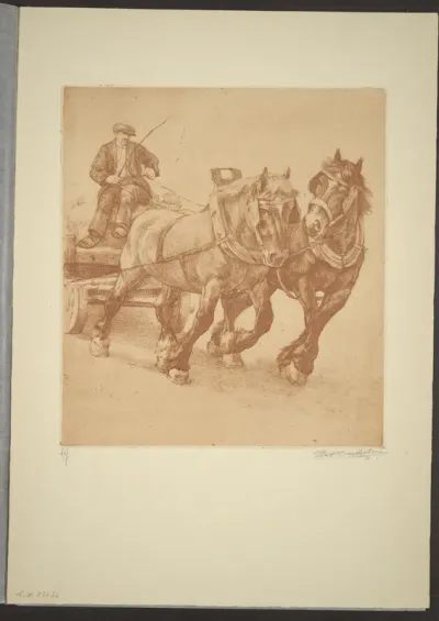 Chevaux en action