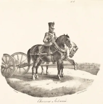 Cheveaux des Ardennes