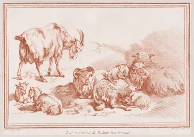 Chèvre, chevreaux et moutons