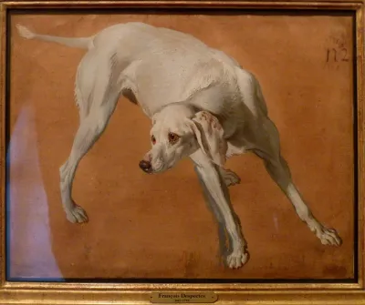 Chien blanc