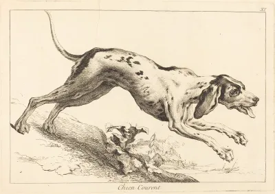 Chien courent (Running Hound)