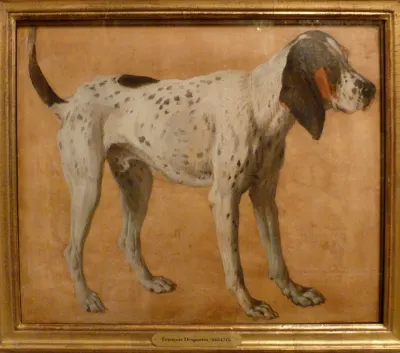 Chien tacheté
