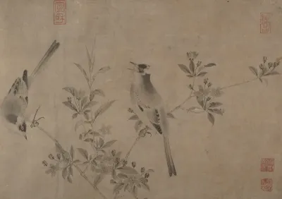 Chinese bulbuls on flowering crab apple