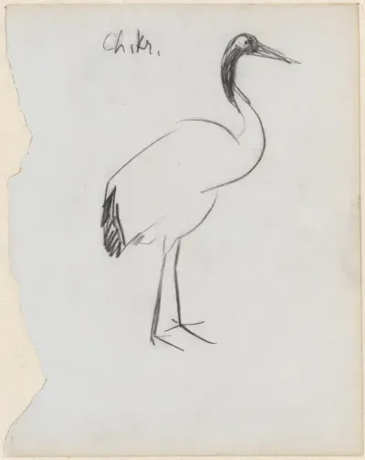 Chinese kraanvogel