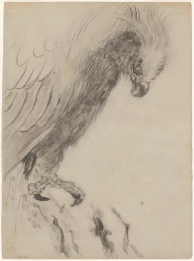 Chinoiserie, een roofvogel