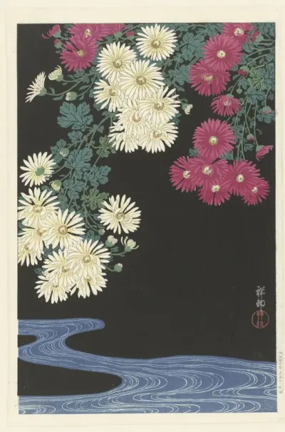 Chrysanten en water