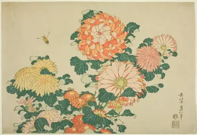 Chrysanthemum and Horsefly, from an untitled series of Large Flowers