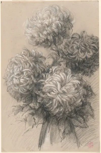 Chrysanthemums