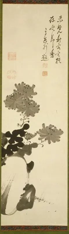 Chrysanthemums and Rock