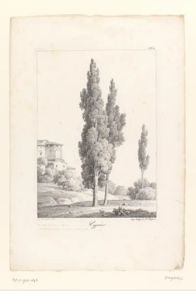 Cipres