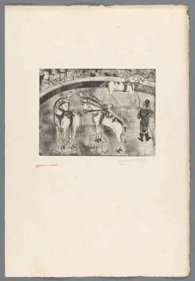 Circus performance met paarden