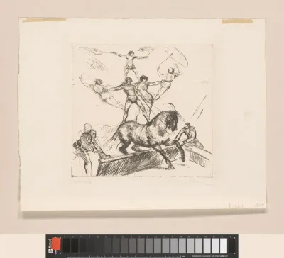 Circus VII