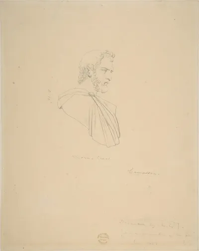 Classical Bust of a Bearded Male Seen in Profile