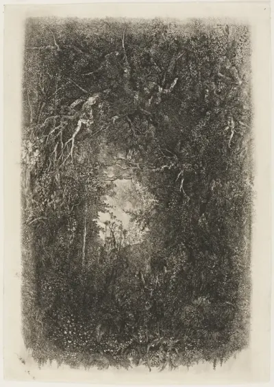Clearing in the Forest