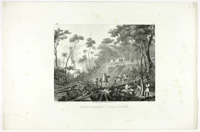 Clearing the Forest, plate 6 from Customs and traditions of Negroes, volume 4 of Voyage pittoresque dans le Brésil