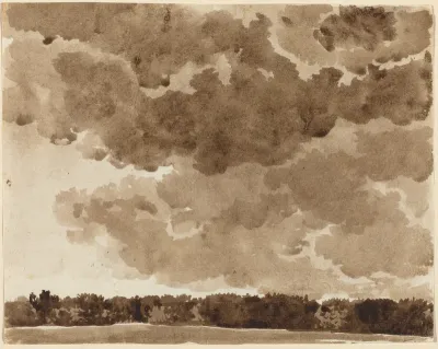 Clouds over a Forest
