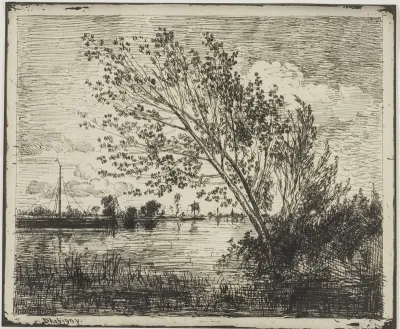 Clump of Alder Trees