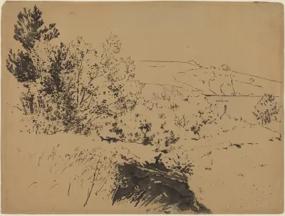 Coastal Landscape