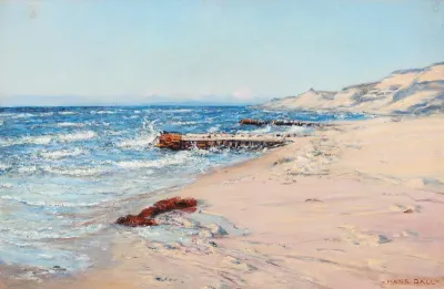 Coastal scenery with beach dunes.