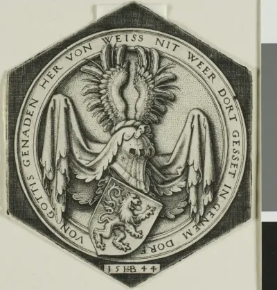 Coat of Arms with a Rampant Lion
