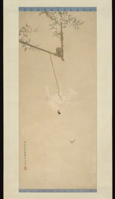 Cockatoo