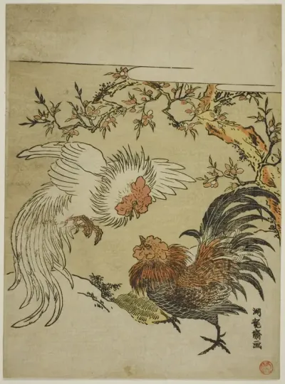 Cocks Fighting Under a Tree