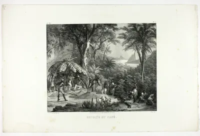 Coffee Harvest, plate 8 from Customs and traditions of Negroes, volume 4 of Voyage pittoresque dans le Brésil