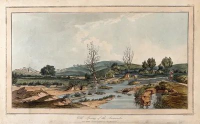 Cold spring of the Scamander