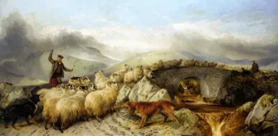 Collecting the sheep for clipping in the highlands