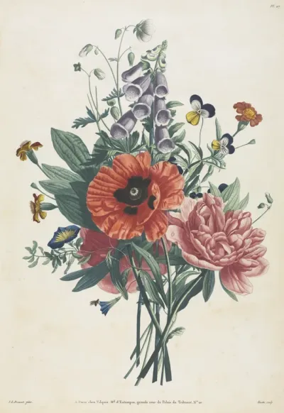 Collection of Flowers and Fruits Painted after Nature:  Bouquet of Foxglove, Clematis, Pansy, Peony, Poppy, and Yellow Day Lily