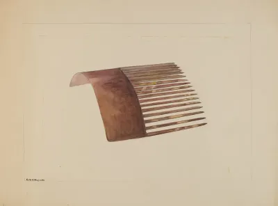Comb