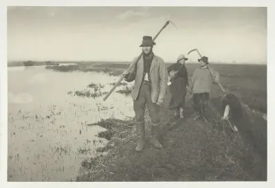 Coming Home from the Marshes