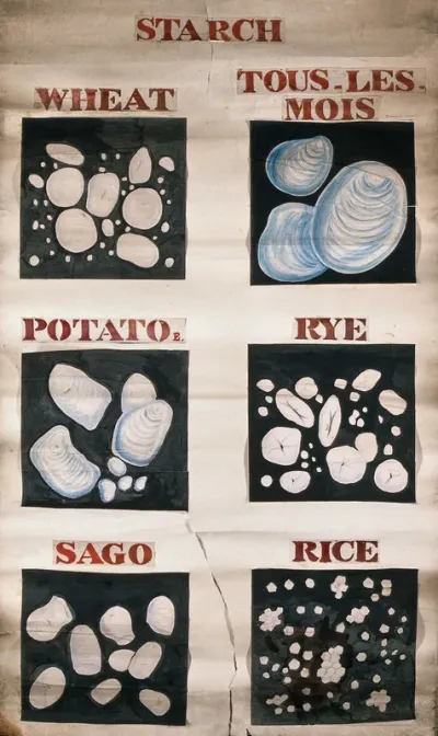 Comparative analyses of foodstuffs