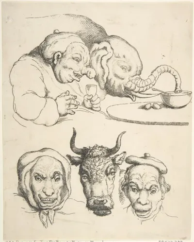 Comparative Anatomy