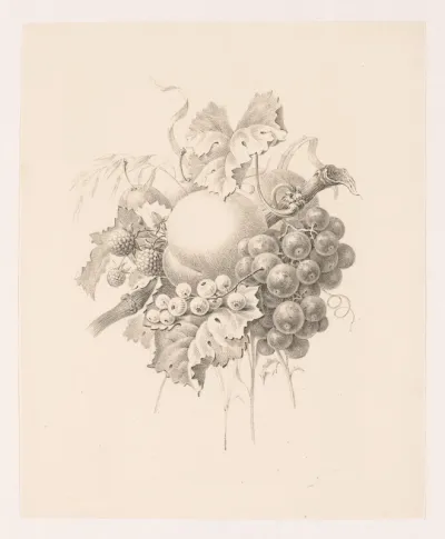 Compositie van vruchten