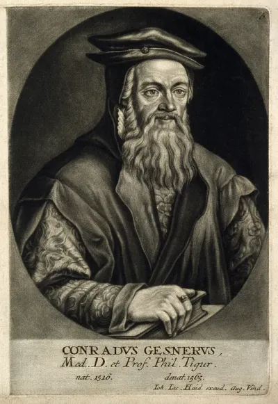 Conrad Gesner. Mezzotint by J. J. Haid, 1747